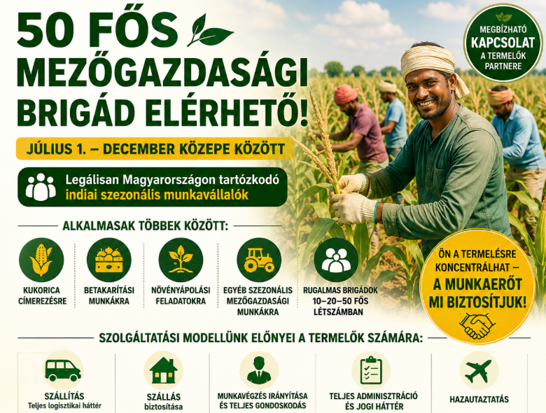 Növénytermesztési szolgáltatás indiai brigádokkal – új megoldás a szezonális munkaerőhiányra